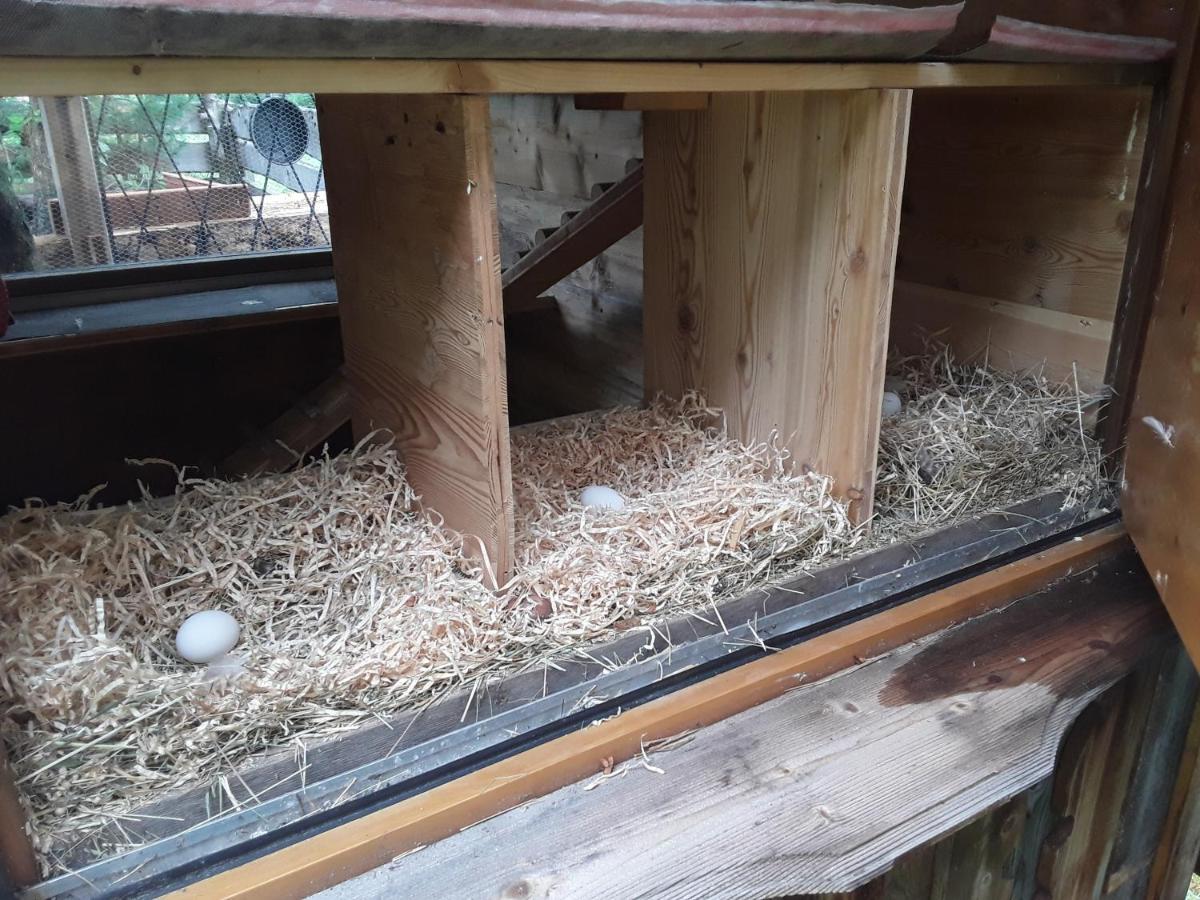 Haus Am Rechten Fleck Kaunertal Ngoại thất bức ảnh